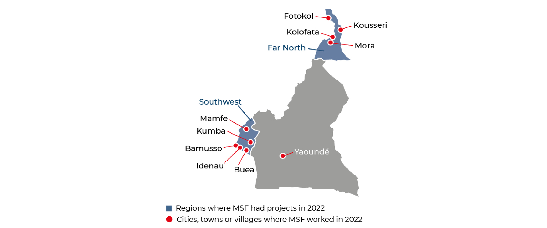 Cameroon MSF map
