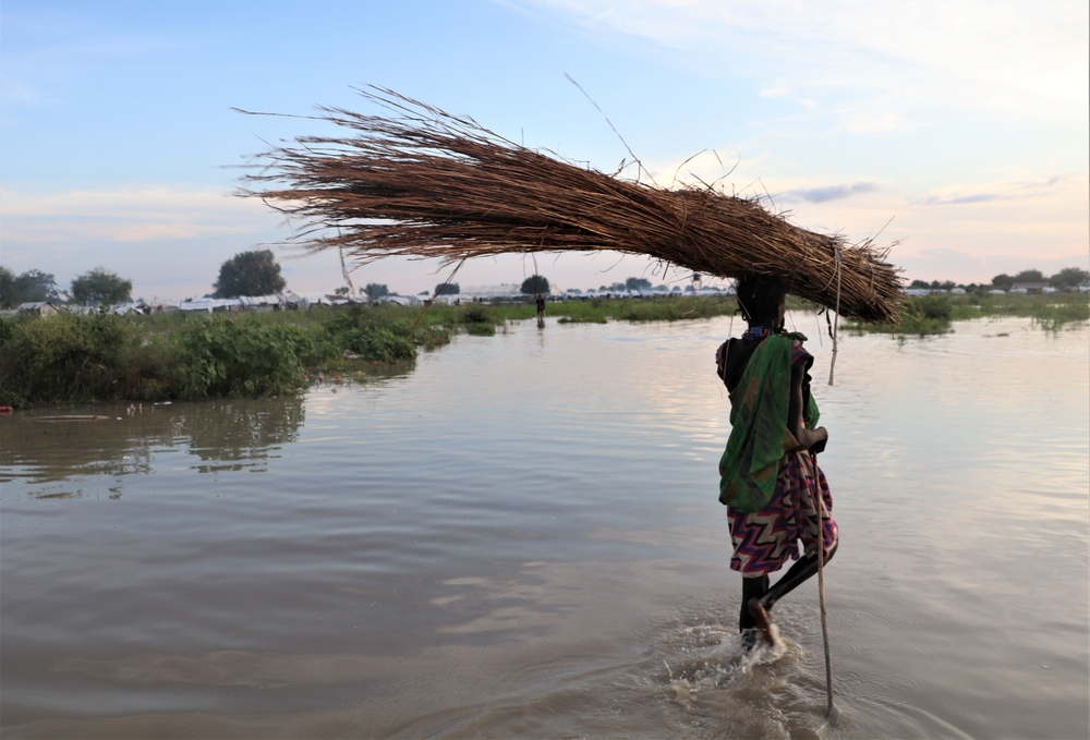 A woman carries tree branches to construct a new house through floodwater in Pibor town, South Sudan.