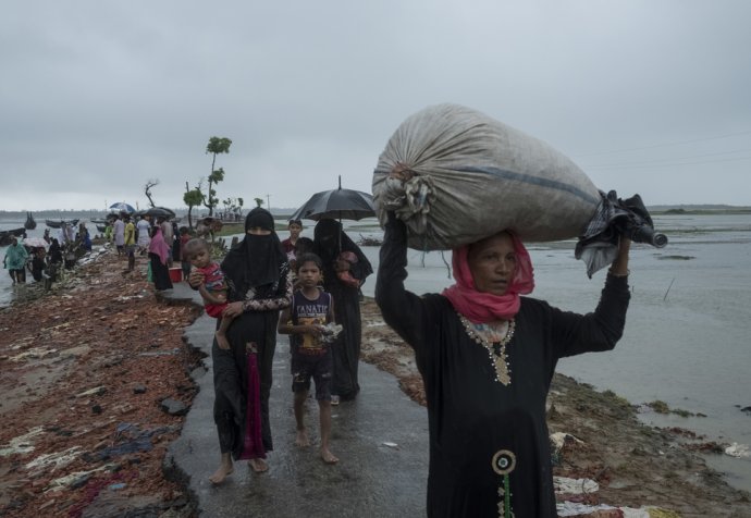 MSF Medical Action - Rohingya Crisis